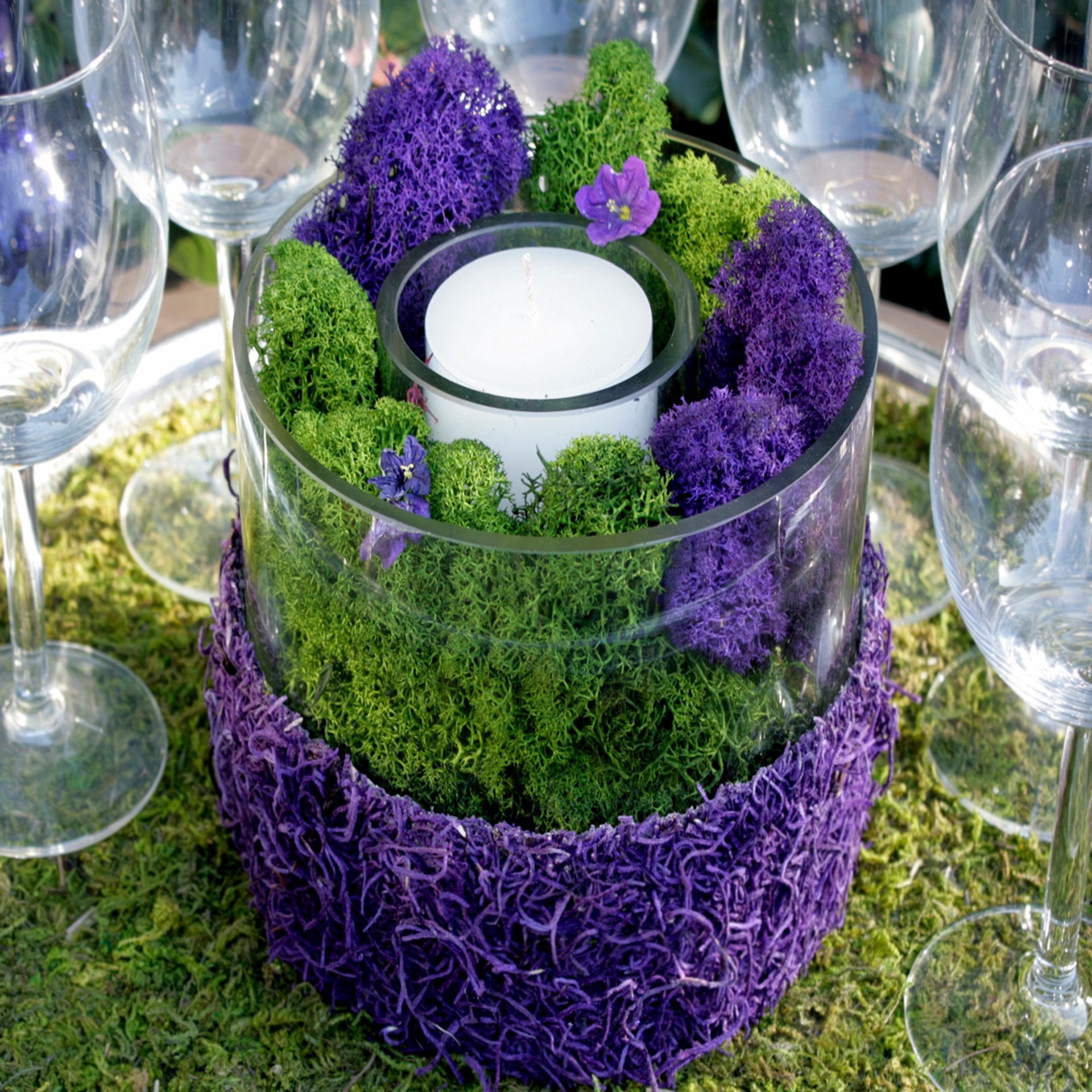 slide 4 of 7, Supermoss Preserved Reindeer Moss, Forest, 0.13 lb