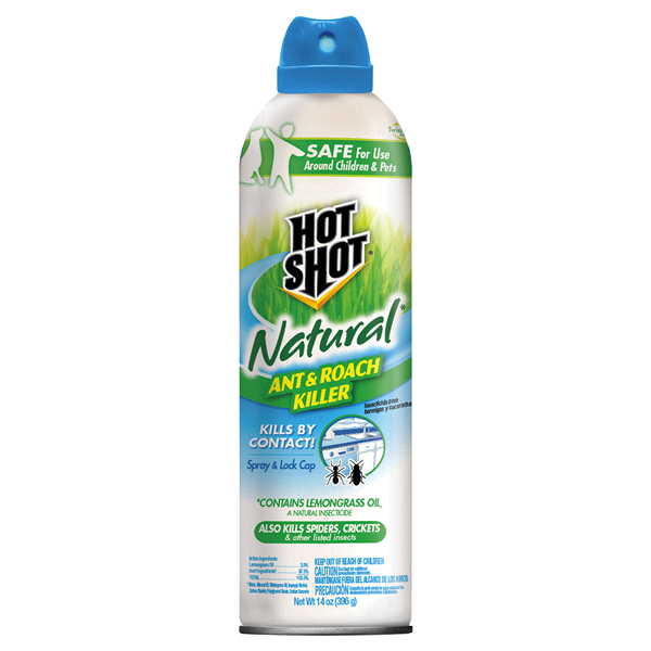 slide 1 of 1, Hot Shot Natural Ant & Roach Killer Spray, 14 oz