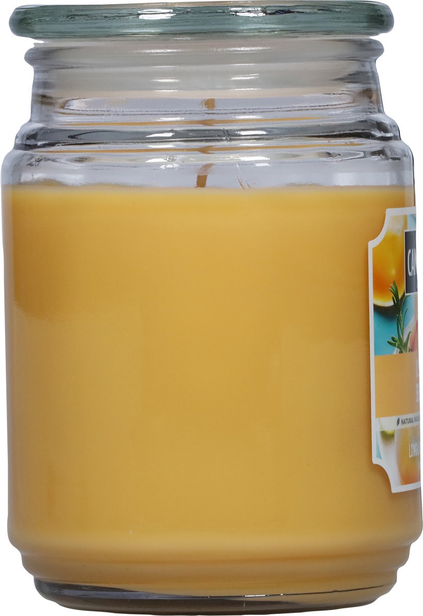 slide 2 of 9, Candle-Lite Candle Lite Island Bellini Candle 18 Ounces, 1 ct