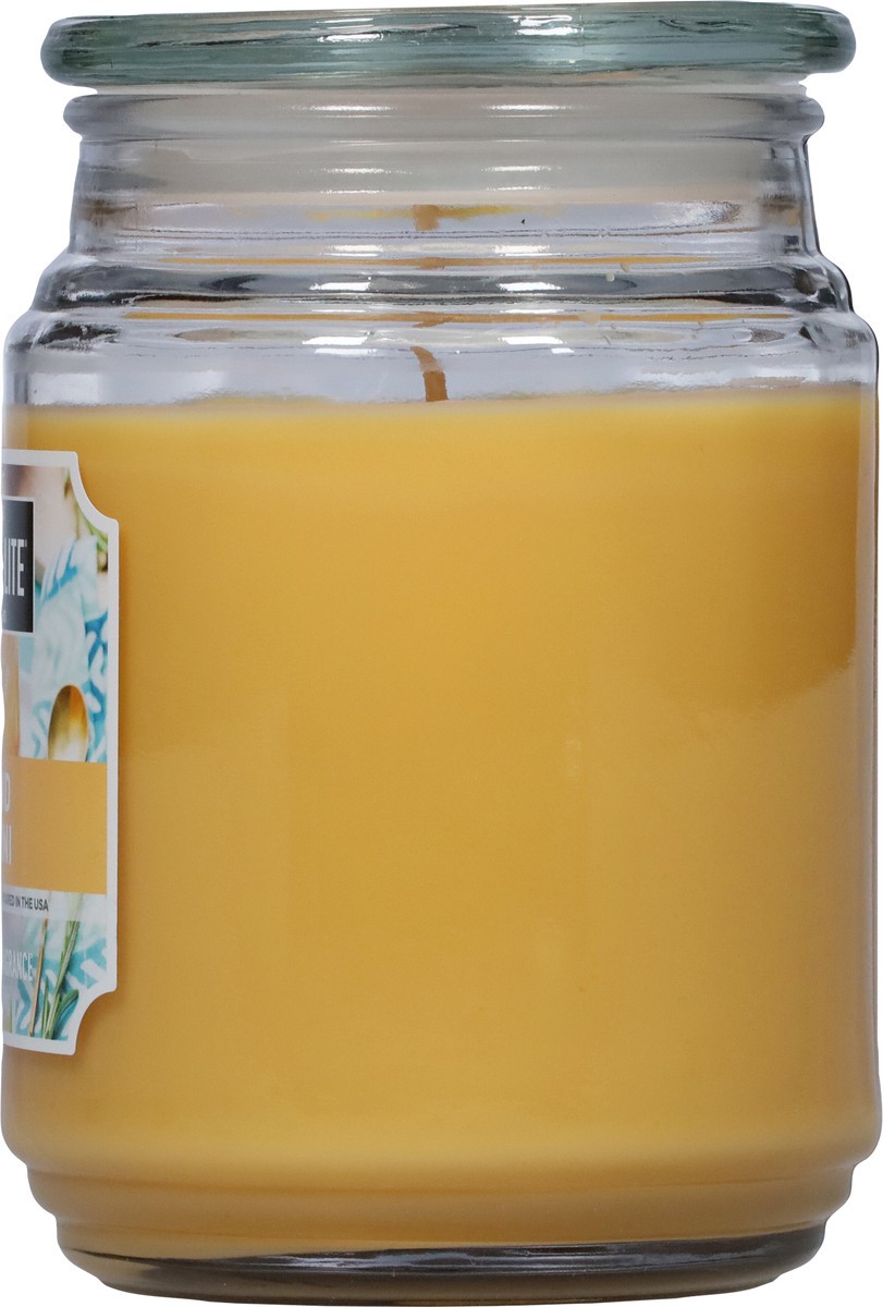 slide 9 of 9, Candle-Lite Candle Lite Island Bellini Candle 18 Ounces, 1 ct