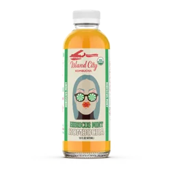 Tapuat Brewing Co. Hibiscus Mint Kombucha - 14 fl oz