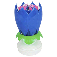 slide 3 of 17, Kolorae Singing Flower Birthday Candle, Assorted Colors, 1 ct
