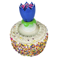 slide 15 of 17, Kolorae Singing Flower Birthday Candle, Assorted Colors, 1 ct