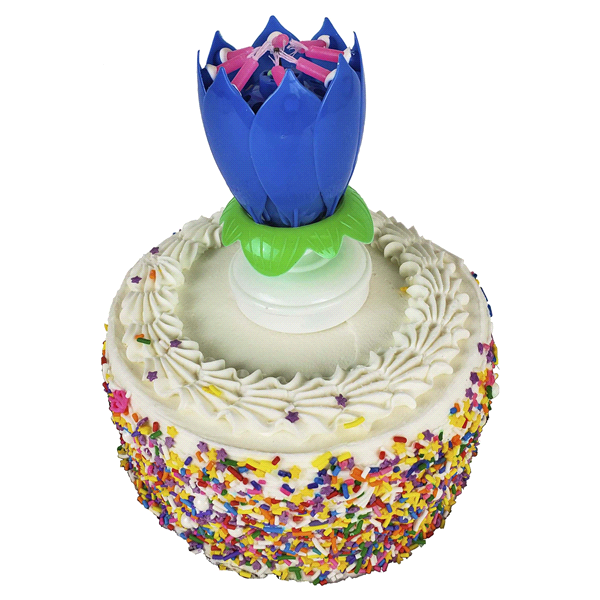 slide 16 of 17, Kolorae Singing Flower Birthday Candle, Assorted Colors, 1 ct