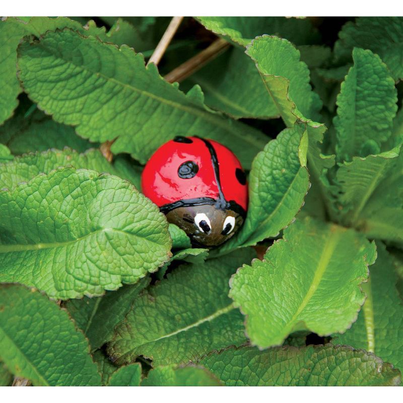 slide 7 of 7, Hide & Seek Rock Painting Kit - Creativity for Kids: Paints, Stickers, Rocks, Brush, Craft Activity for Ages 6+, 1 ct