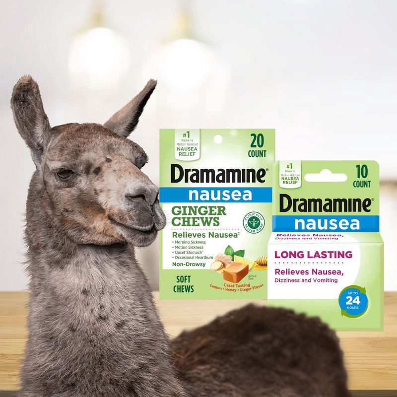 slide 2 of 7, Dramamine-N Long Lasting Nausea Relief Tablets for Nausea, Dizziness & Vomiting - 10ct, 10 ct