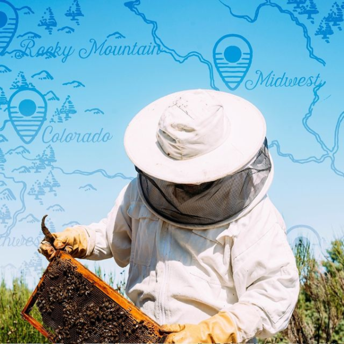 slide 2 of 8, Local Hive Raw & Unfiltered Orange Blossom Honey 16 oz, 16 oz