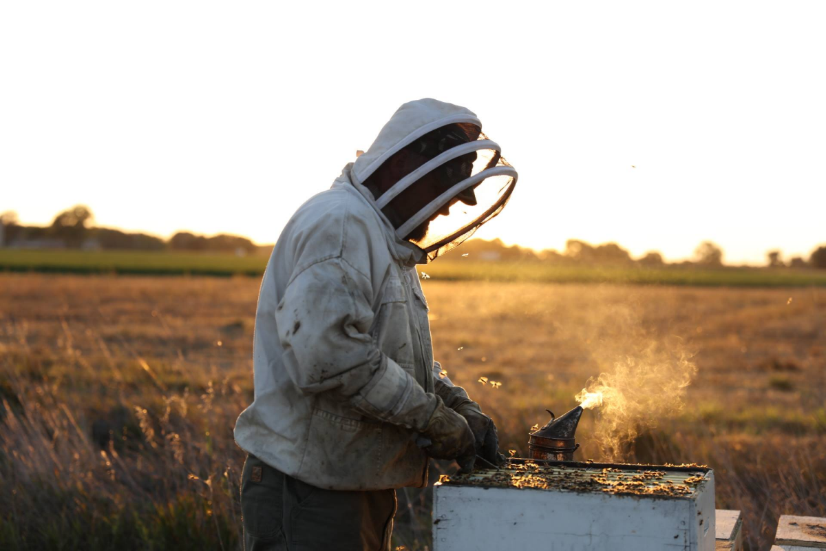 slide 6 of 8, Local Hive Raw & Unfiltered Orange Blossom Honey 16 oz, 16 oz