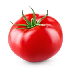 Tomato Red Large