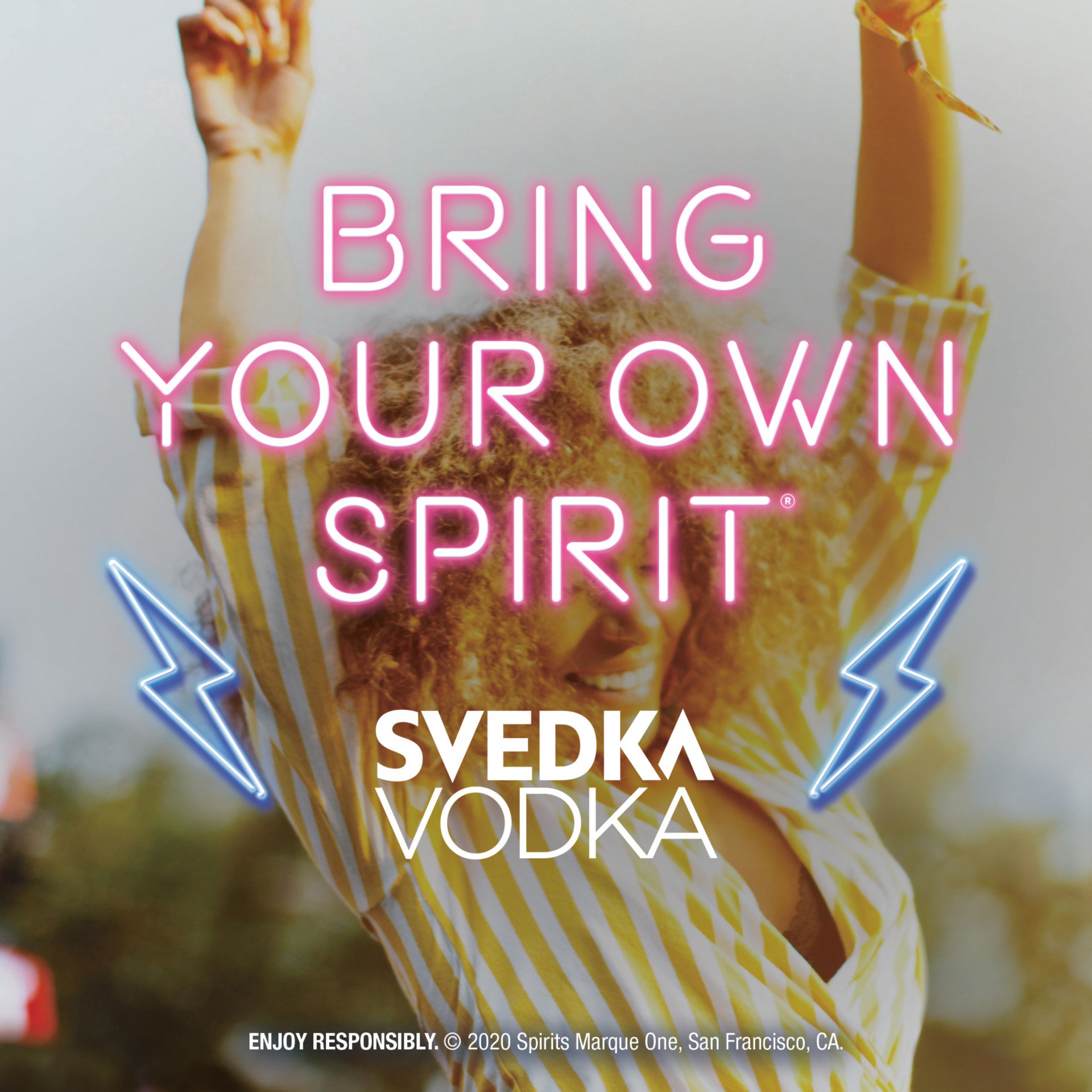 slide 7 of 7, SVEDKA Imported Swedish Vodka , 50 ml