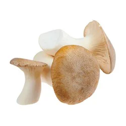 King Trumpet Mushrooms - 0.25 lb