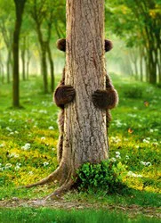 Avanti Goodbye Brown Bear Peek-a-boo Card