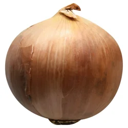 Onions Brown