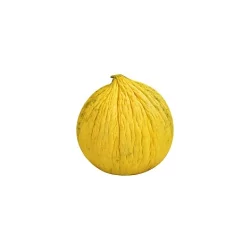 Casaba Melon
