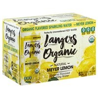 slide 1 of 1, Langers Organic Meyer Lemon Sparkling Water, 1 ct