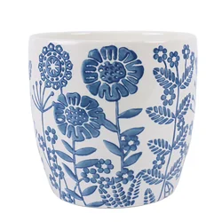 Strawflower 6 Blue & White