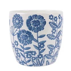 Strawflower 6 Blue & White