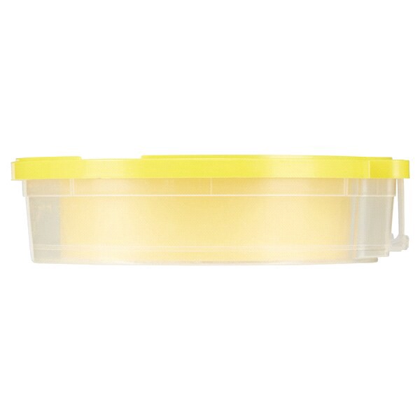 slide 2 of 29, DUCK FrogTape Delicate Surface Painting Tape, Yellow, 1.41 in. x 60 yd., 60 yd x 1.31 in