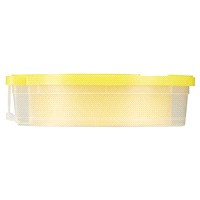 slide 7 of 29, DUCK FrogTape Delicate Surface Painting Tape, Yellow, 1.41 in. x 60 yd., 60 yd x 1.31 in