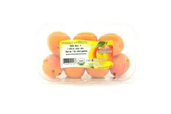 Organic Apricots