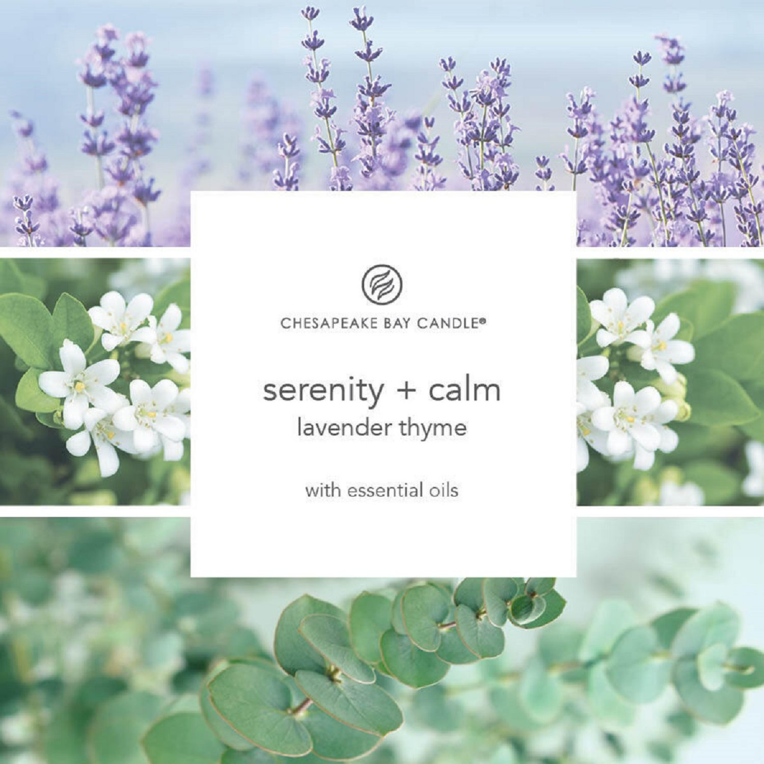 slide 3 of 3, Chesapeake Bay Candle Mind & Body Collection Serenity + Calm: Lavender Thyme, 3.7 oz