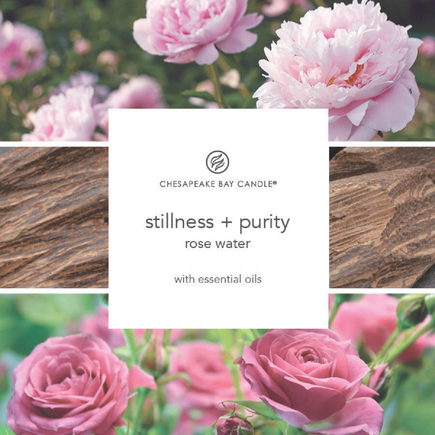 slide 3 of 3, Chesapeake Bay Candle Mind & Body Collection Stillness + Purity: Rose Water, 11 oz