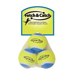 Fetch & Catch Tennis Balls