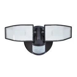 Good Earth Lighting 2 Head Battery-Operated Security Light