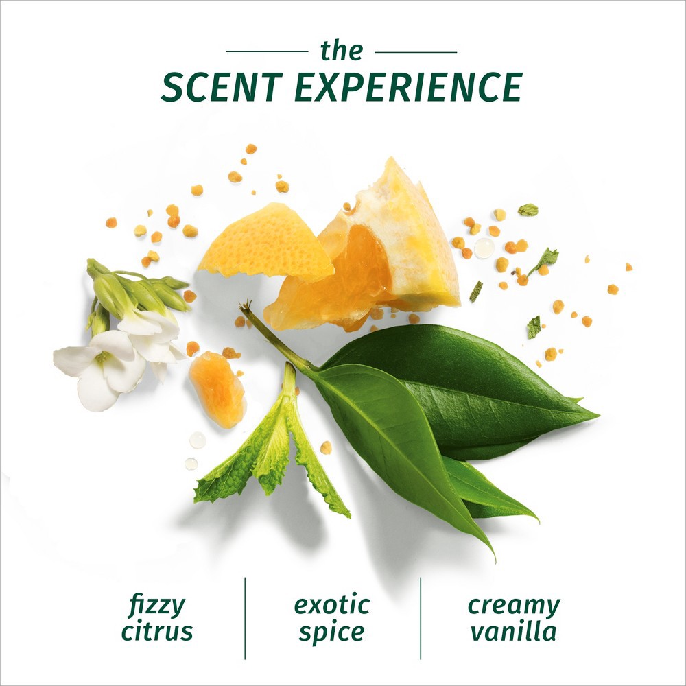 slide 4 of 6, Herbal Essences Bio:renew Repairing Shampoo & Conditioner Dual Pack with Argan Oil - 27 fl oz/2ct, 27 fl oz, 2 ct