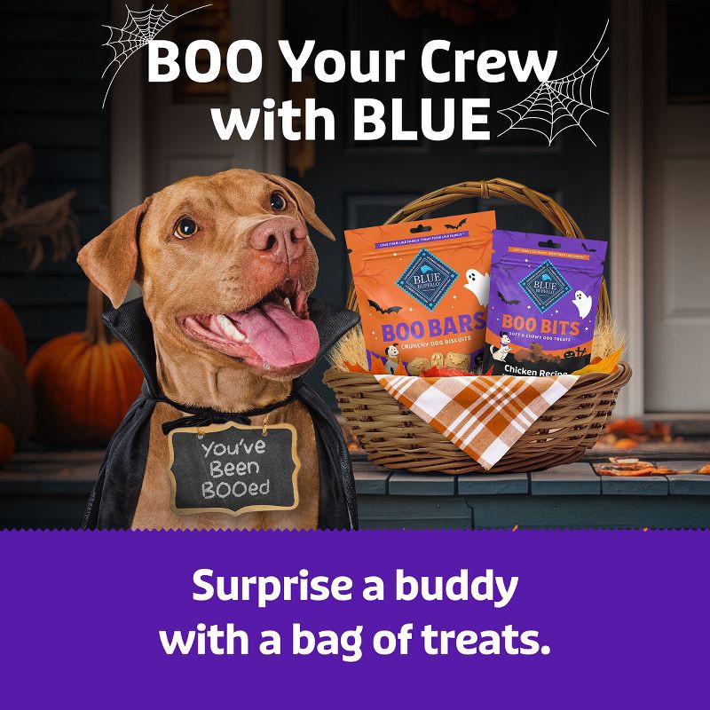 slide 8 of 10, Blue Buffalo Boo Bars Crunchy Biscuits, Pumpkin & Cinnamon Halloween Dog Treats - 11oz, 11 oz