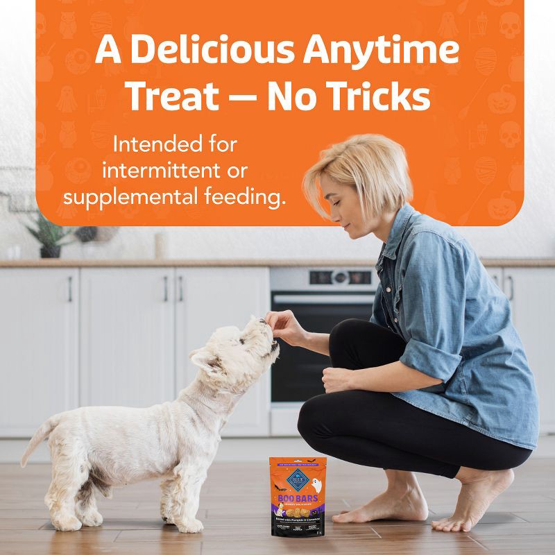 slide 10 of 10, Blue Buffalo Boo Bars Crunchy Biscuits, Pumpkin & Cinnamon Halloween Dog Treats - 11oz, 11 oz