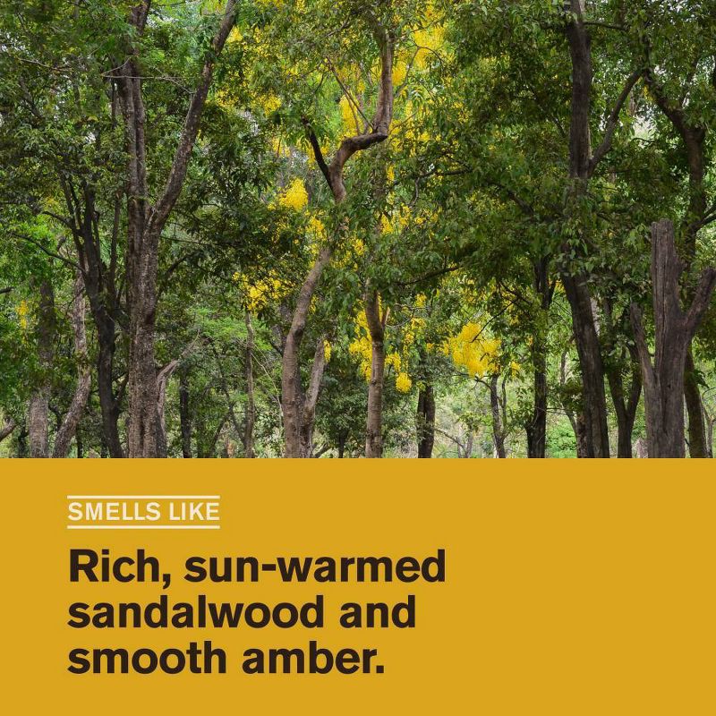 slide 2 of 8, Every Man Jack Men's Nourishing Beard + Face Wash with Aloe and Coconut - Sandalwood - 6.7 fl oz, 6.7 fl oz