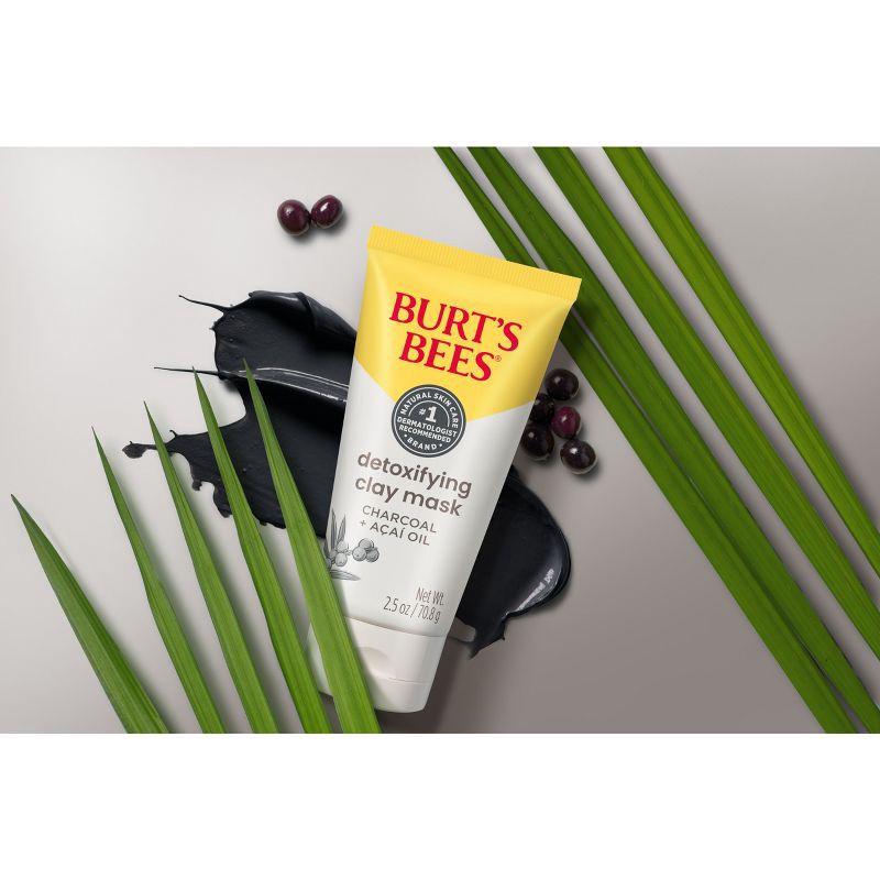 slide 9 of 12, Burt's Bees Detoxifying Clay Face Mask - 2.5oz, 2.5 oz