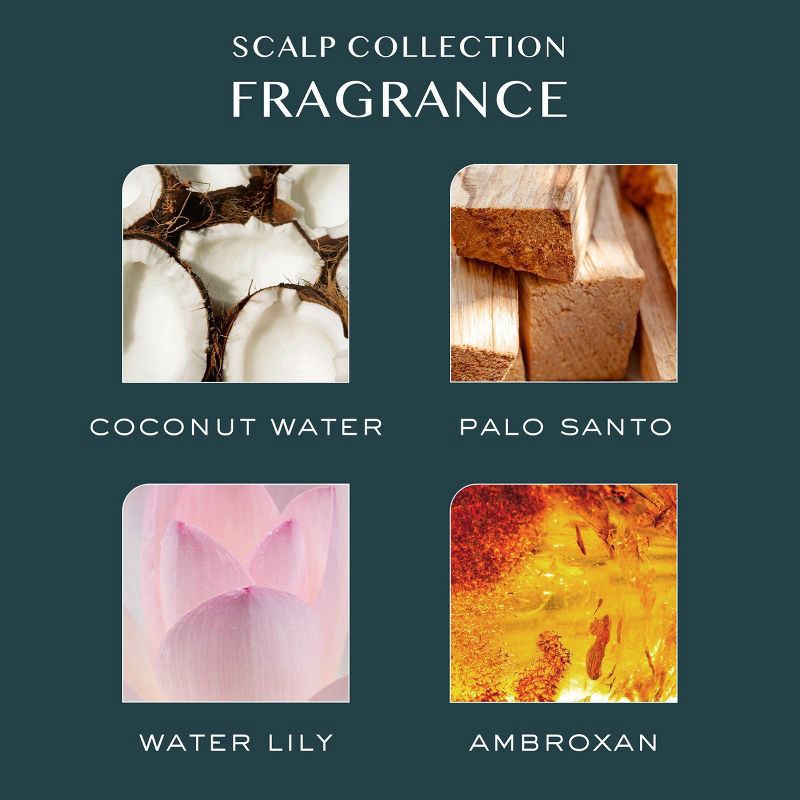 slide 3 of 6, Kristin Ess Instant Exfoliating Scalp Scrub for Build Up + Dandruff - Soothing Dry Scalp Treatment - 6.7 fl oz, 6.7 fl oz