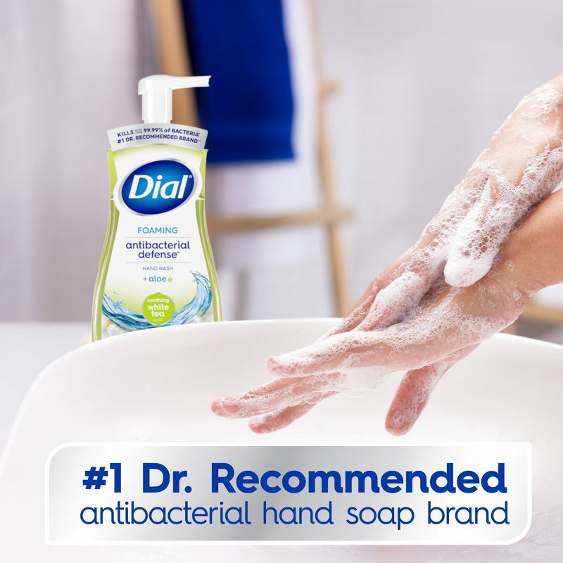 slide 4 of 12, Dial Foaming Antibacterial Defense Hand Wash - White Tea - 10 fl oz, 10 fl oz