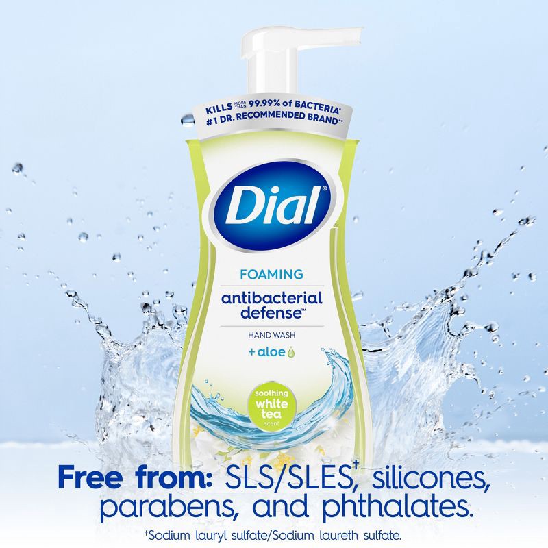 slide 6 of 12, Dial Foaming Antibacterial Defense Hand Wash - White Tea - 10 fl oz, 10 fl oz