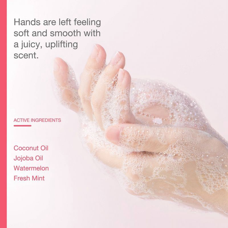 slide 3 of 7, Raw Sugar Moisture Loving Hand Wash - Watermelon and Fresh Mint - 16.9 fl oz, 16.9 fl oz