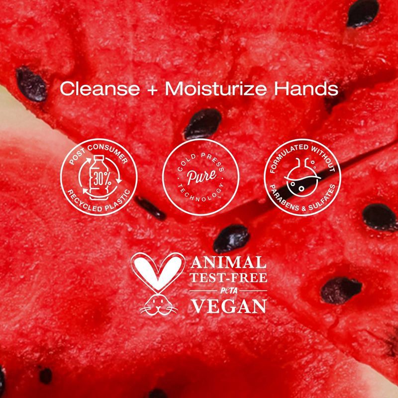slide 4 of 7, Raw Sugar Moisture Loving Hand Wash - Watermelon and Fresh Mint - 16.9 fl oz, 16.9 fl oz