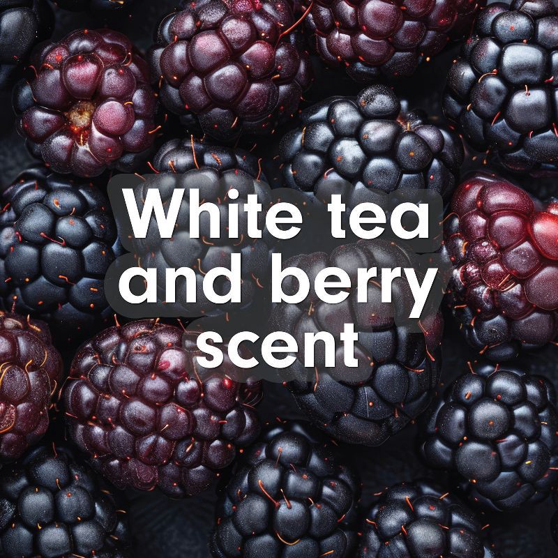 slide 5 of 17, Softsoap Antibacterial Liquid Hand Soap Refill - White Tea & Berry - 50 fl oz, 50 fl oz