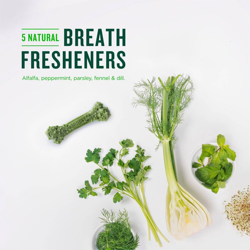 slide 5 of 7, Minties Peppermint Flavor Dental and Hard Chews Dog Treat - 32oz, 32 oz