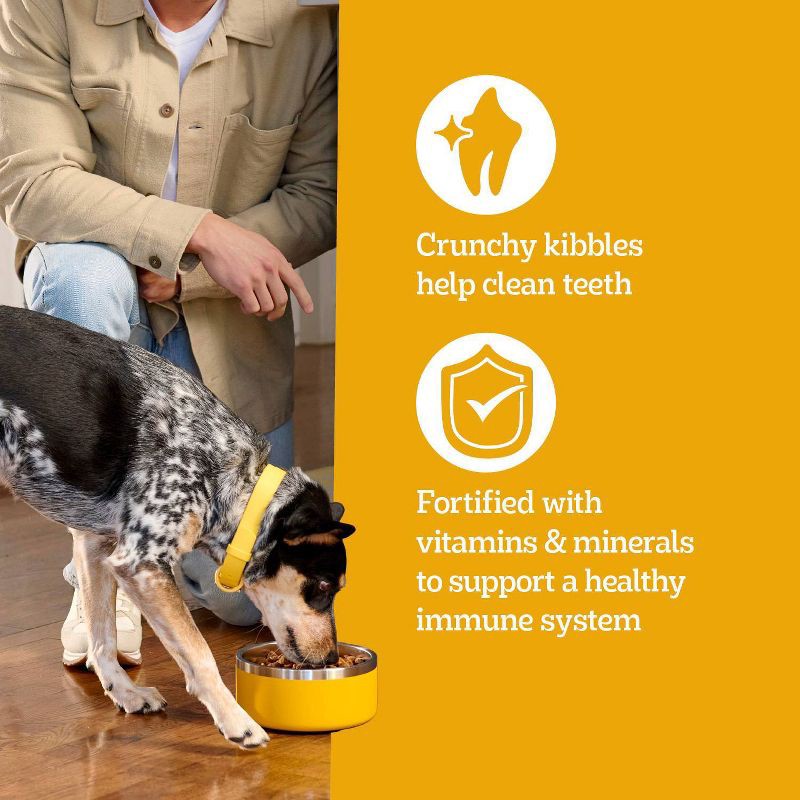 slide 7 of 14, Pedigree High Protein Chicken & Turkey Flavor Adult Complete & Balanced Dry Dog Food - 18lbs, 18 lb