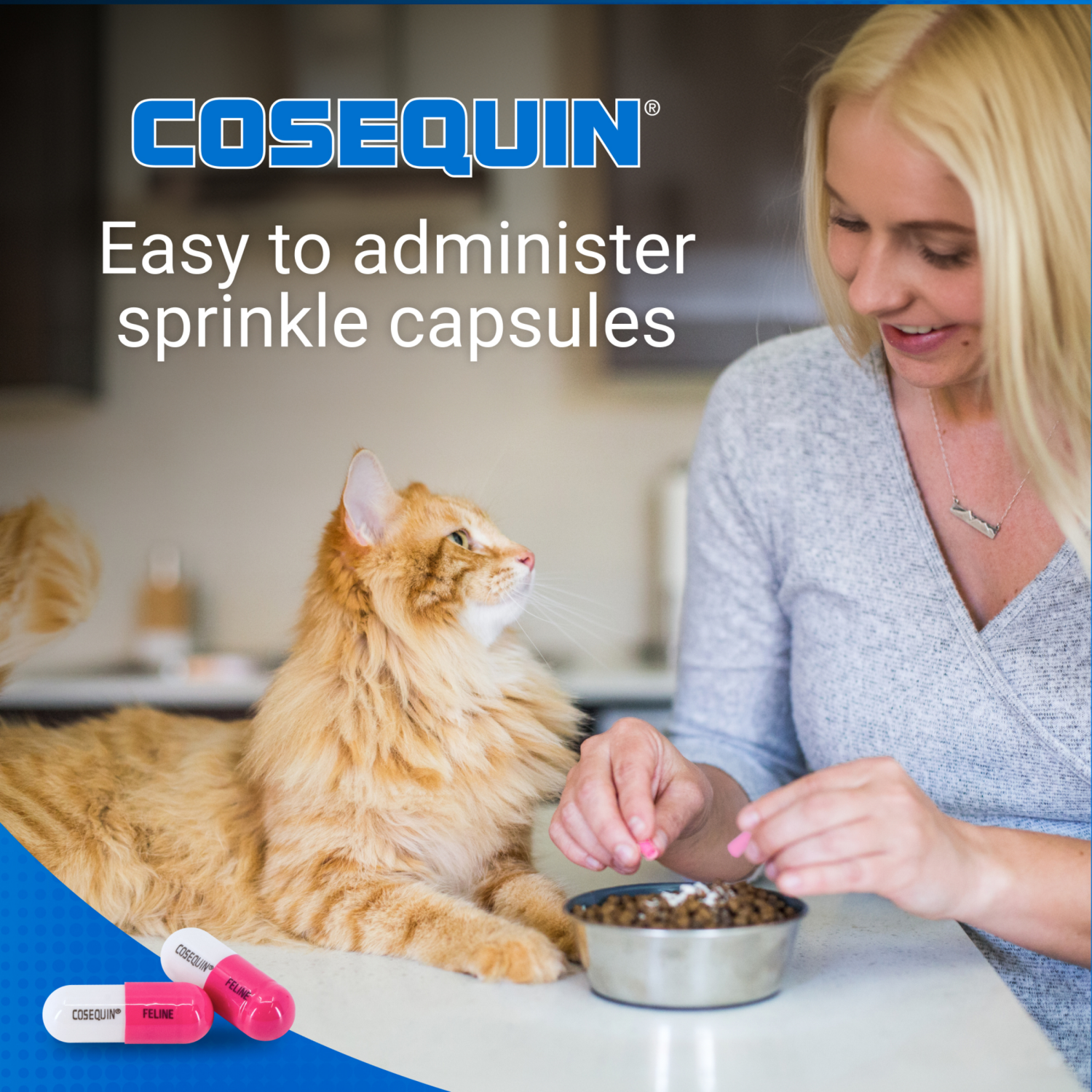 slide 6 of 7, Cosequin Joint Health Supplement for Cats, 55 ct
