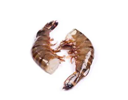 Harris Teeter Wild Caught Jumbo Shrimp