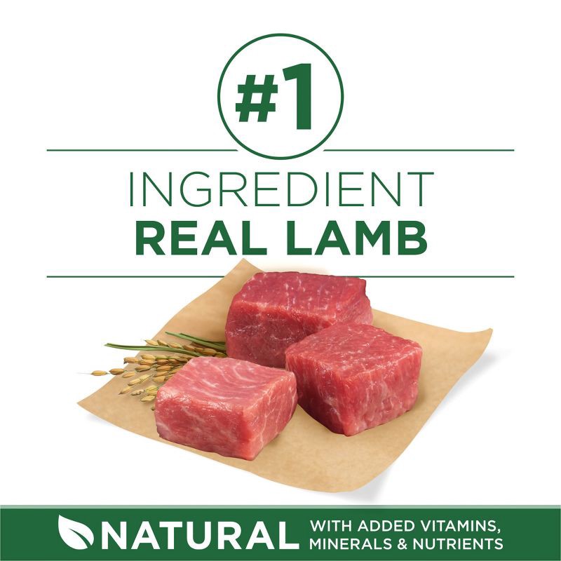 slide 2 of 10, Purina ONE SmartBlend Small Breed Natural Lamb Flavor Dry Dog Food - 15lbs, 15 lb