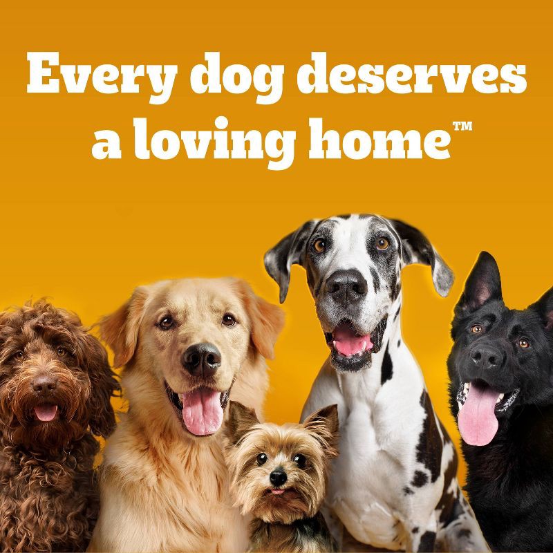 slide 8 of 10, Pedigree Dentastix Bacon Flavor Small Toy Dental Dental Dog Treats - 5.8 oz, 5.8 oz