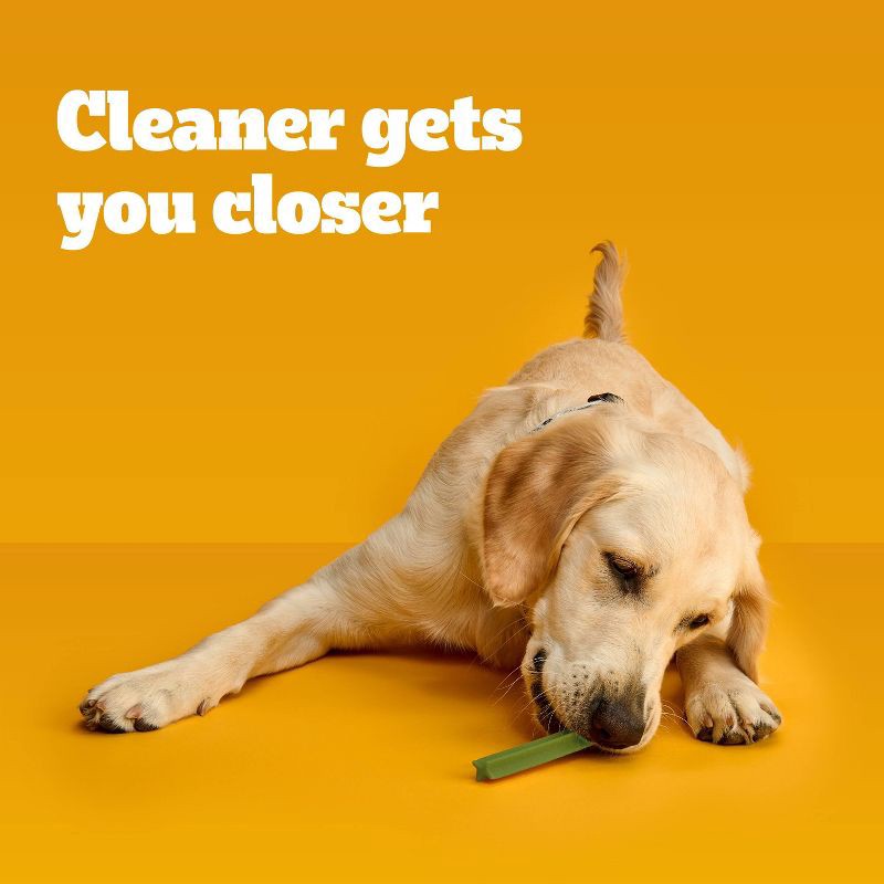 slide 5 of 10, Pedigree Dentastix Mint Fresh Flavor Dental and Hard Chewy Dog Treats for Large Dog - 29.9oz/36ct, 29.9 oz, 36 ct