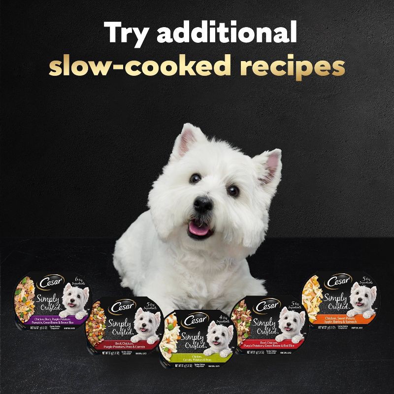 slide 7 of 13, Cesar Simply Crafted Chicken Flavor Small Breed Wet Dog Food - 1.3oz, 1.3 oz