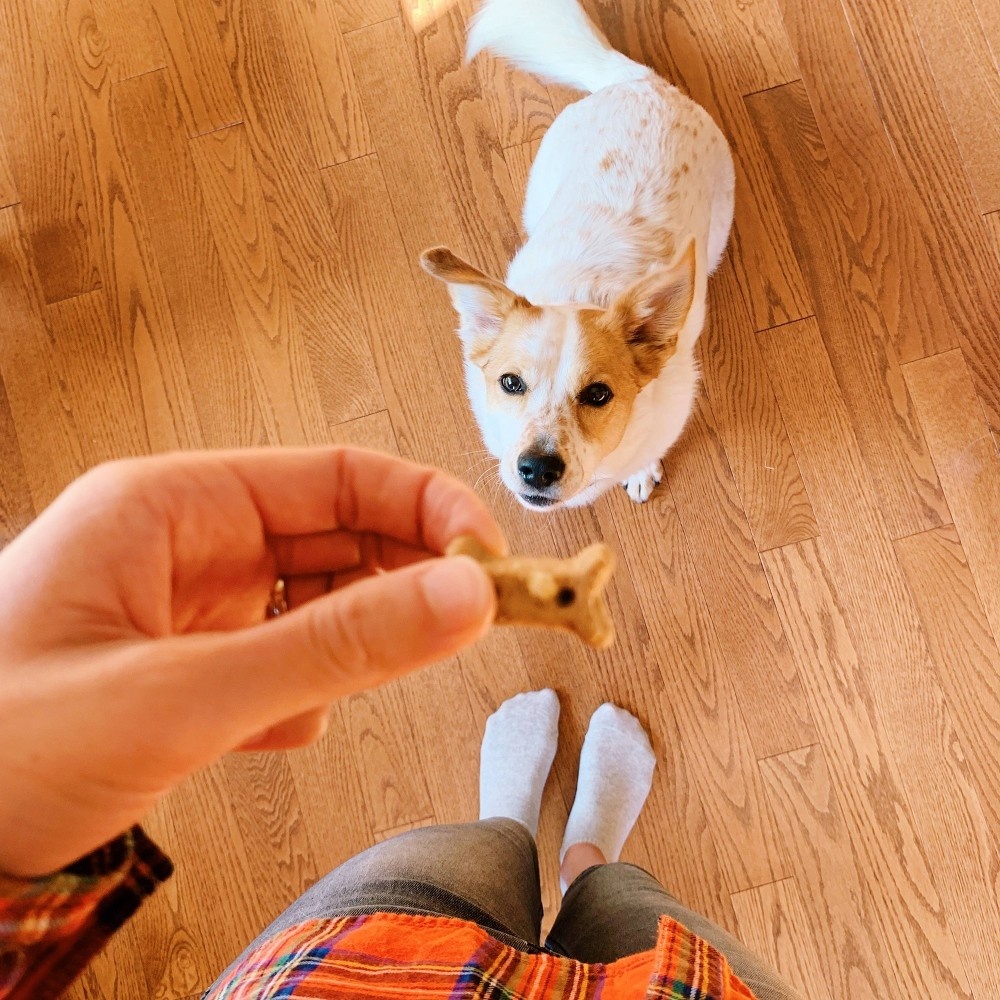 slide 4 of 4, Old Mother Hubbard Classic Crunchy P-Nuttier Biscuits Small Oven Baked Dog Treats - 20oz, 1 ct