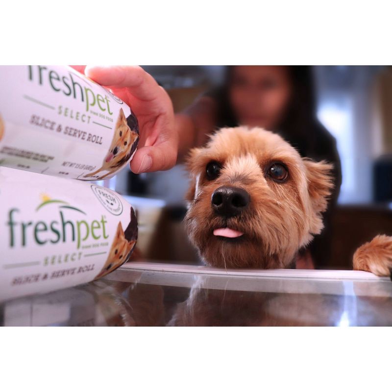 slide 2 of 4, Freshpet Nature's Fresh Roll Grain Free Turkey Recipe Refrigerated Wet Dog Food - 2lbs, 2 lb