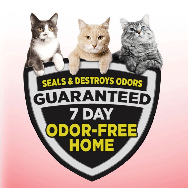 slide 2 of 9, Arm & Hammer Clump & Seal Multi-Cat Litter - 38lbs, 38 lb